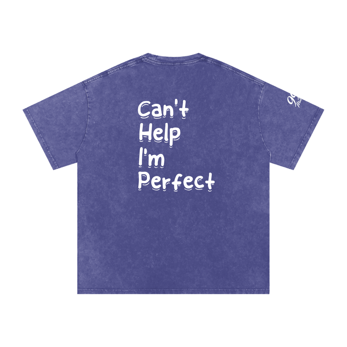 Snow Washed Oversized T-Shirt (C.H.I.P)