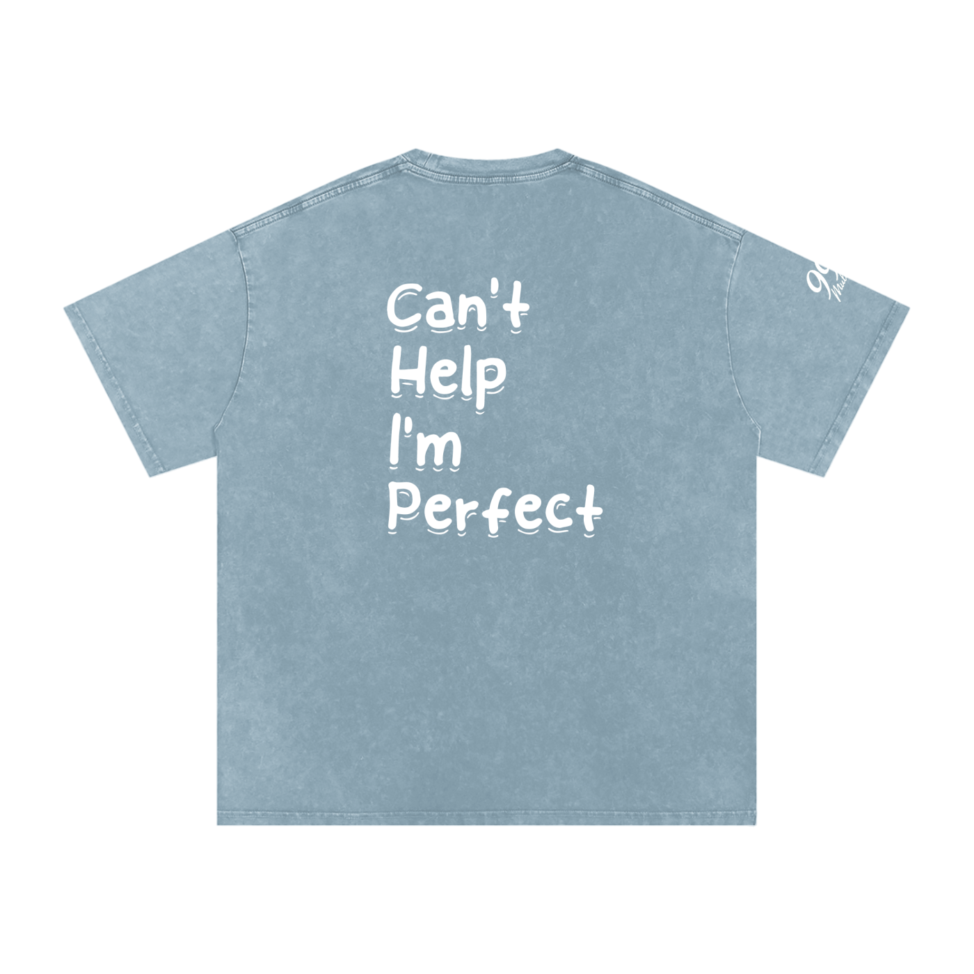 Snow Washed Oversized T-Shirt (C.H.I.P)