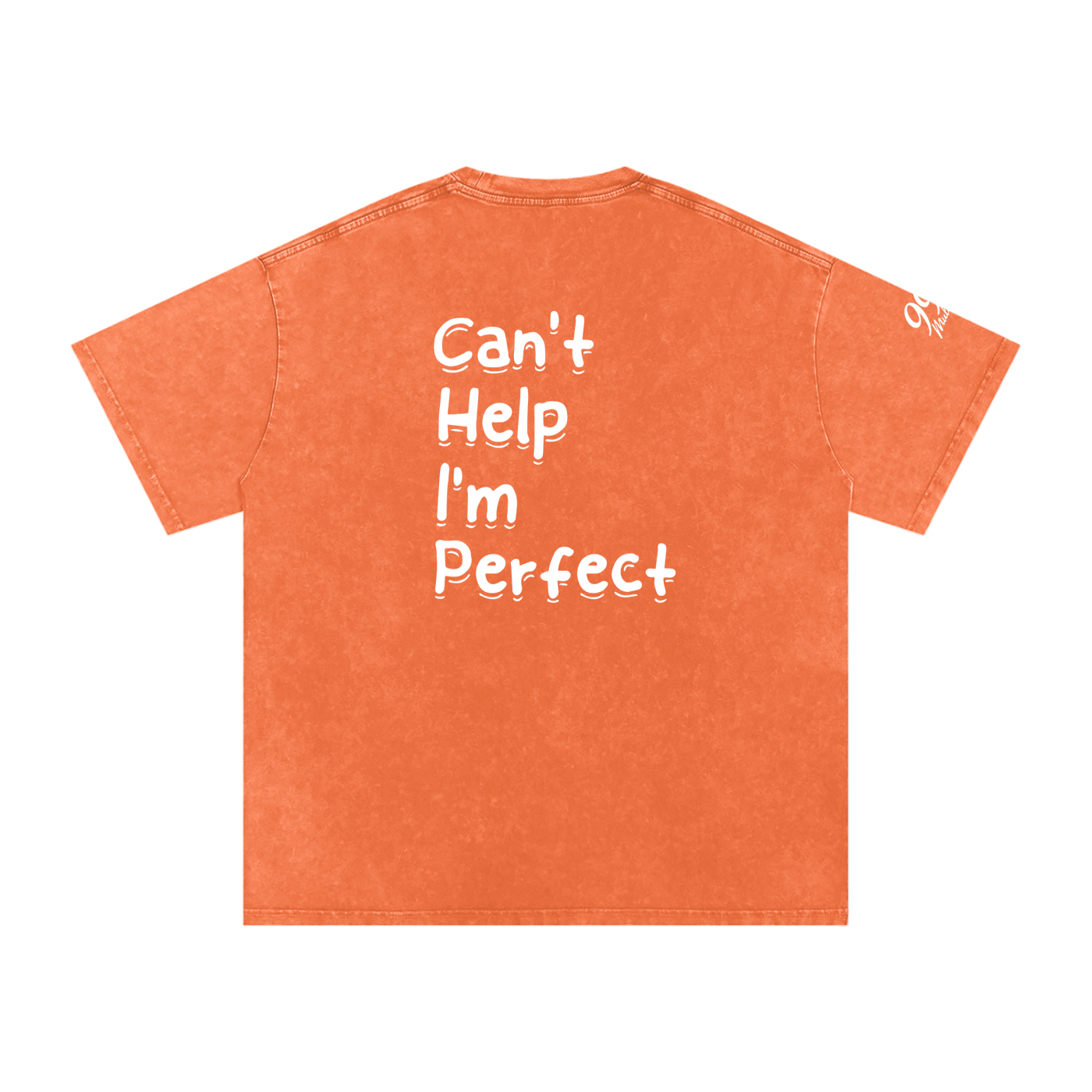 Snow Washed Oversized T-Shirt (C.H.I.P)