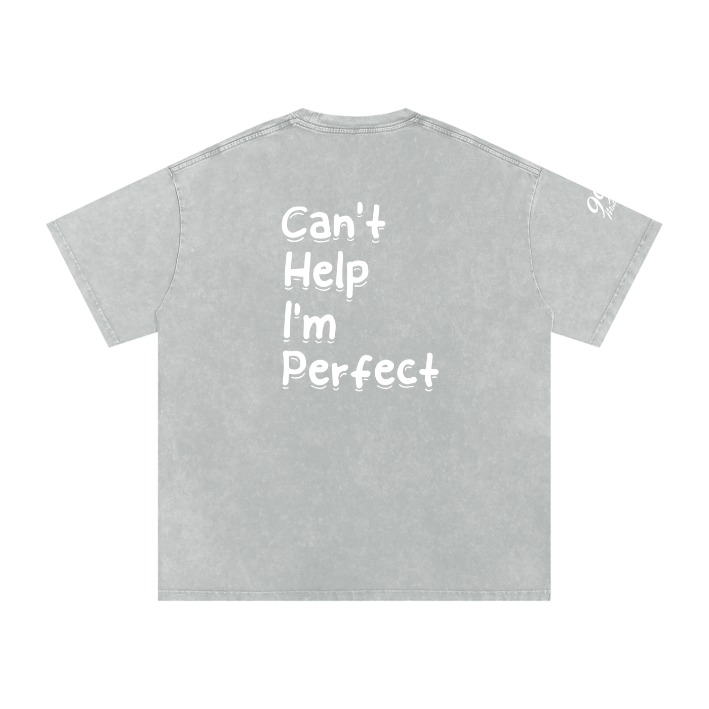 Snow Washed Oversized T-Shirt (C.H.I.P)